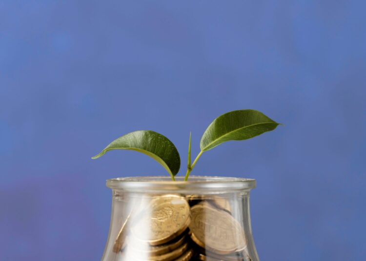 Vasinho com uma planta crescendo. A terra foi substituída por moedas.